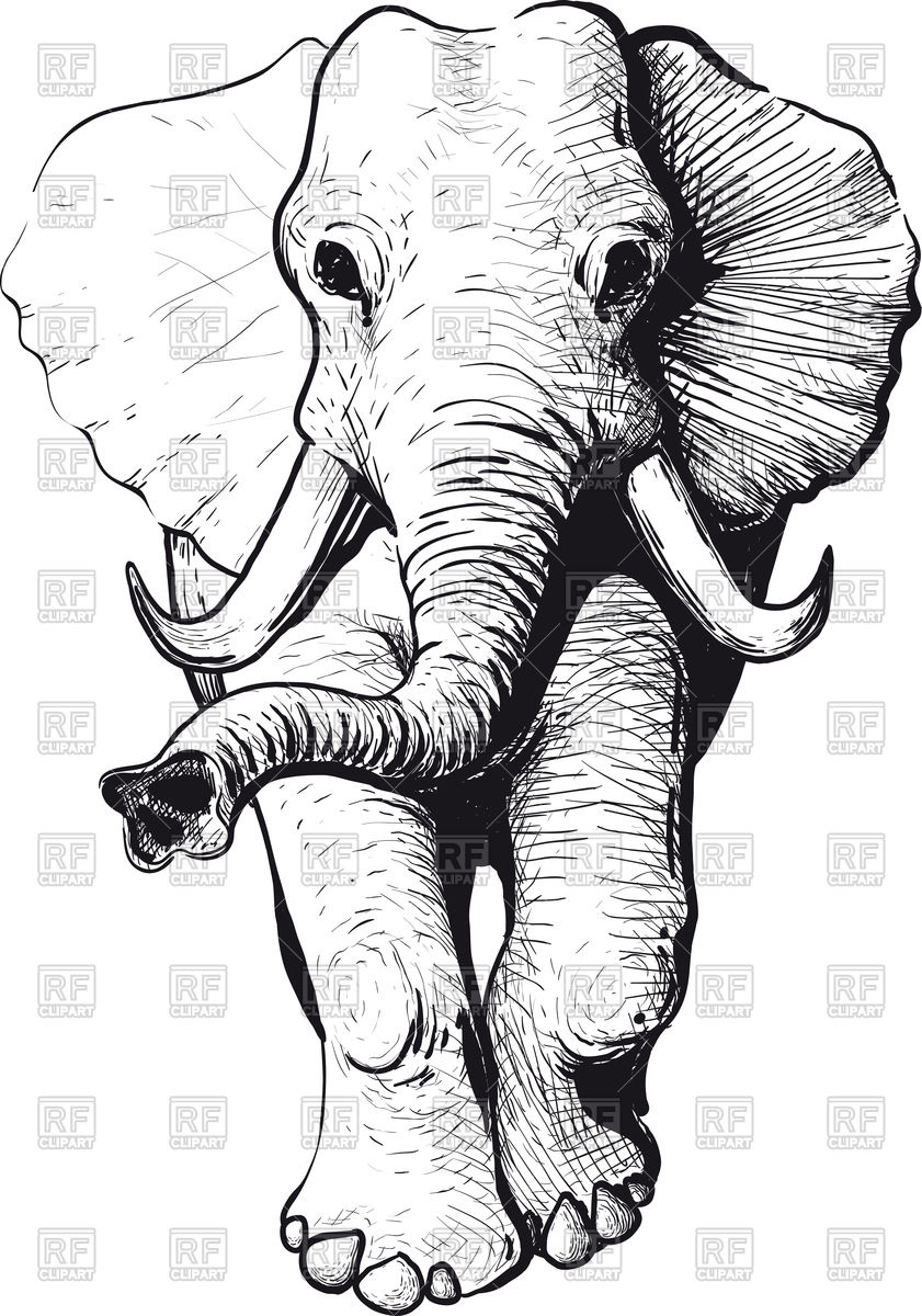 841x1200 Wandering Elephant With Raised Trunk Vector Image Of Plants - Drawings Of Elephants With Trunk Up