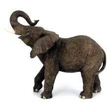 225x225 Elephant Trunk Up Drawing - Drawings Of Elephants With Trunk Up