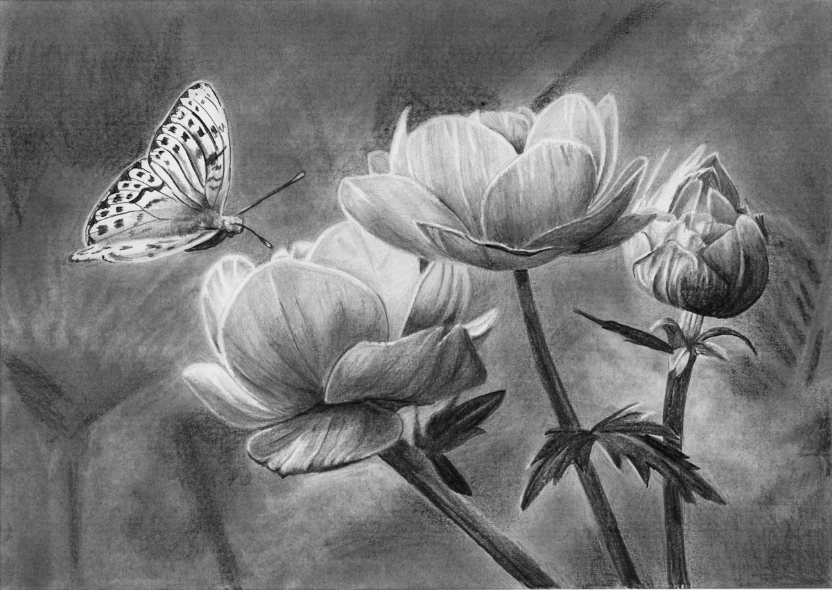 1200x852 How To Draw A Butterfly On A Flower Online Art Lessons - Drawings Of Flowers And Butterflies