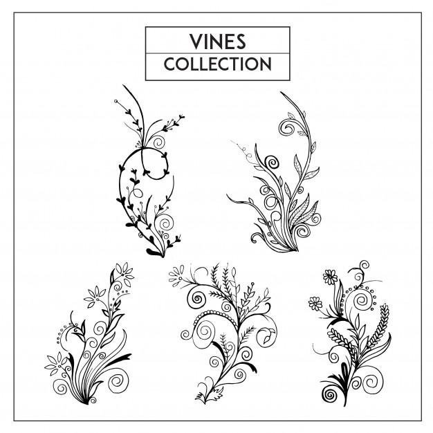 Drawings Of Flowers And Vines at Explore