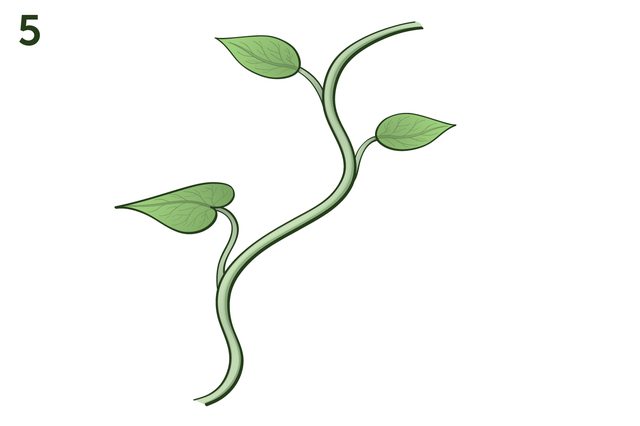 640x426 how to draw vines for flowers - Drawings Of Flowers And Vines