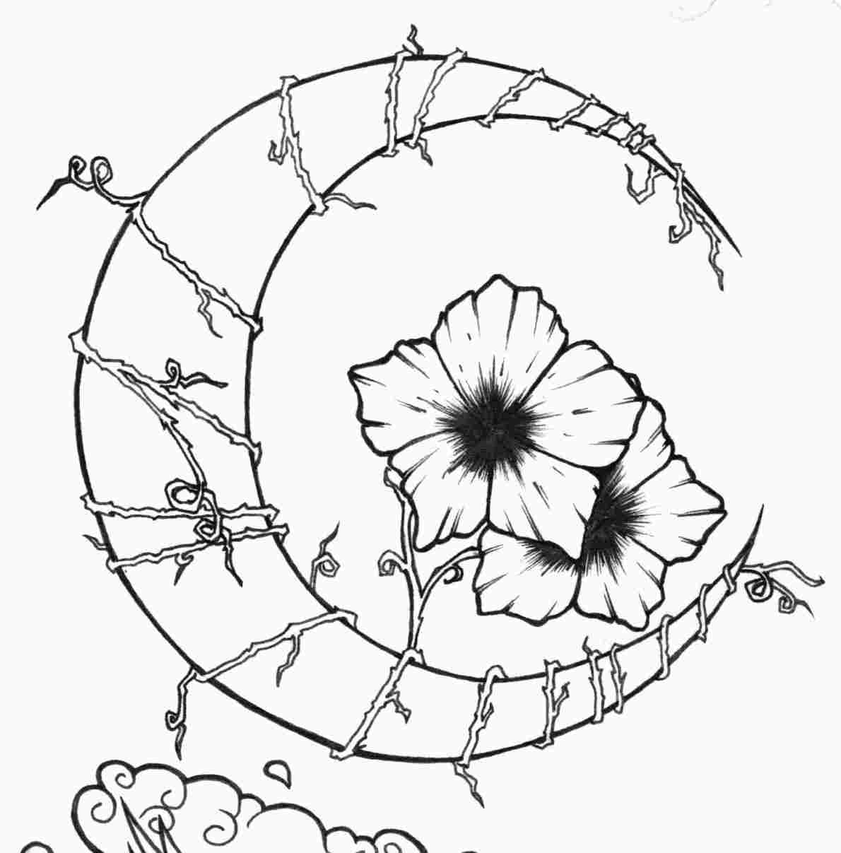 1190x1207 drawing flowers and vines - Drawings Of Flowers And Vines