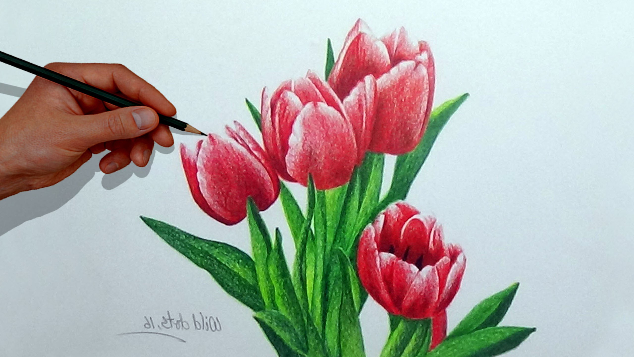 Drawings Of Flowers With Color at PaintingValley.com | Explore ...