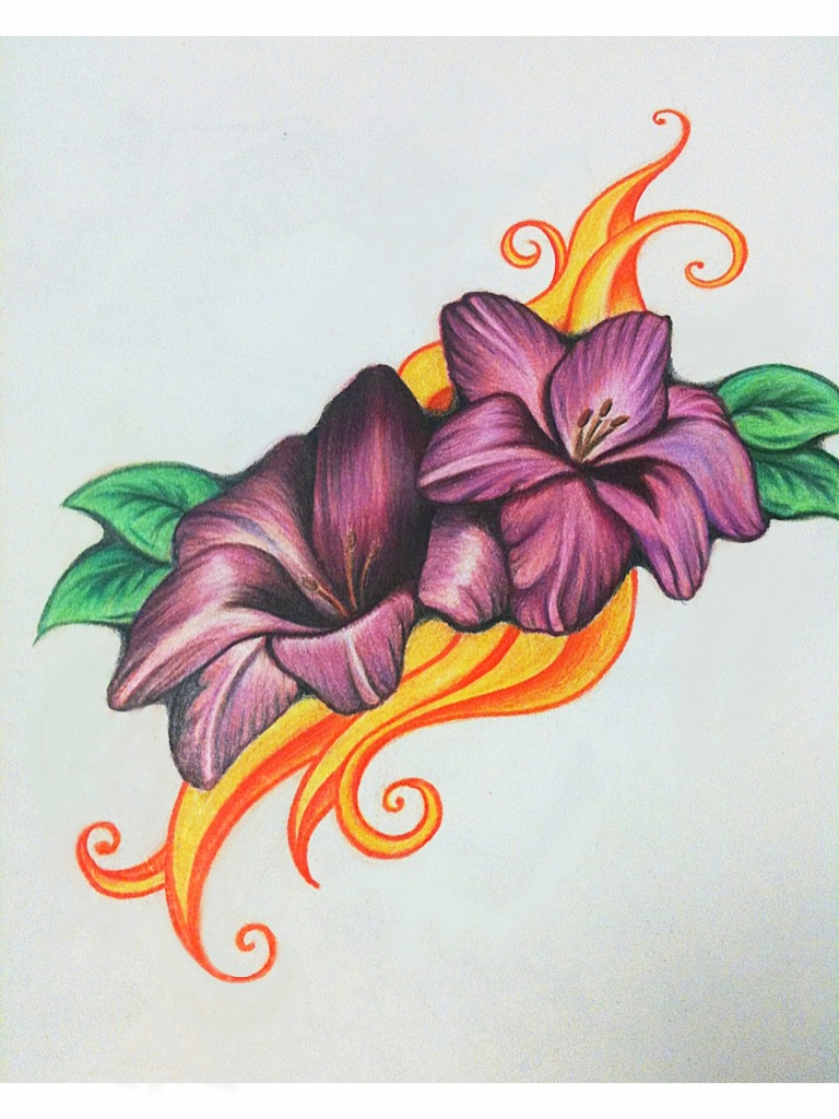 768x1024 Flower Color Drawing And Flower Color Drawing Drawings Of Flowers - Drawings Of Flowers With Color