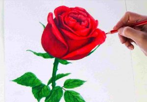 300x210 Flower Color Pencil Sketch - Drawings Of Flowers With Color