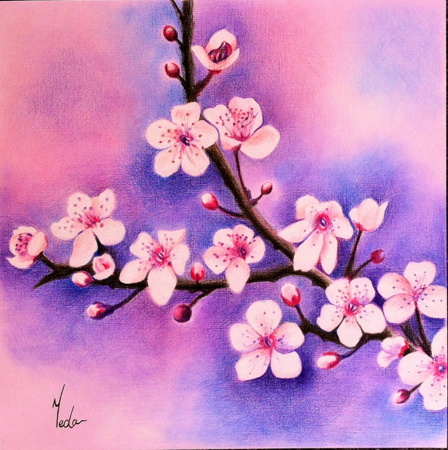 Drawings Of Flowers With Color At Paintingvalley Com Explore