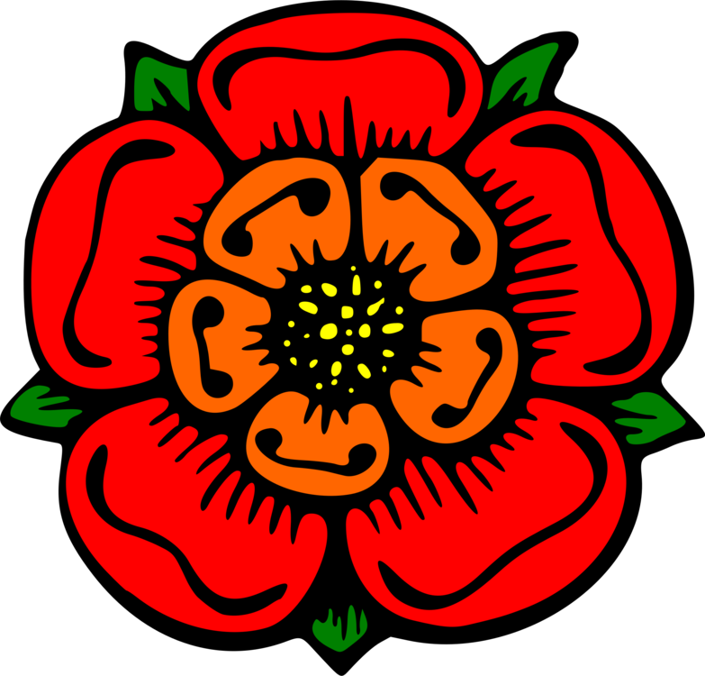 783x750 Roses Drawing Color - Drawings Of Flowers With Color