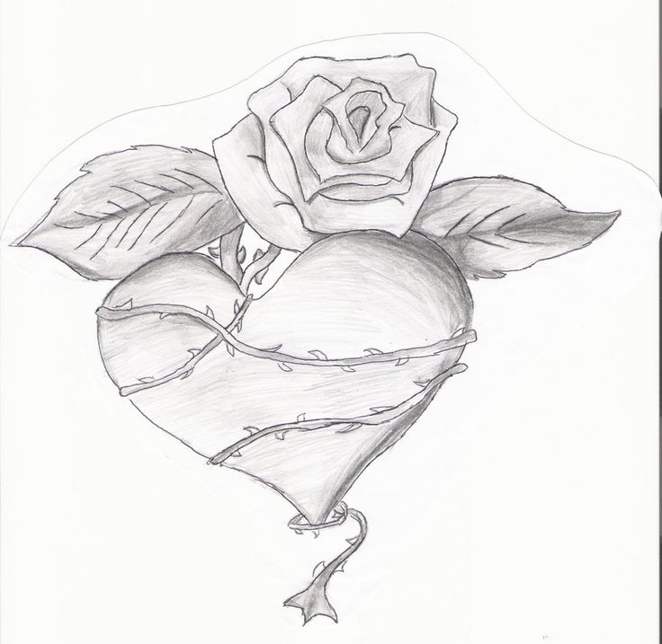 736x717 Rose And Heart Drawings - Drawings Of Hearts And Roses