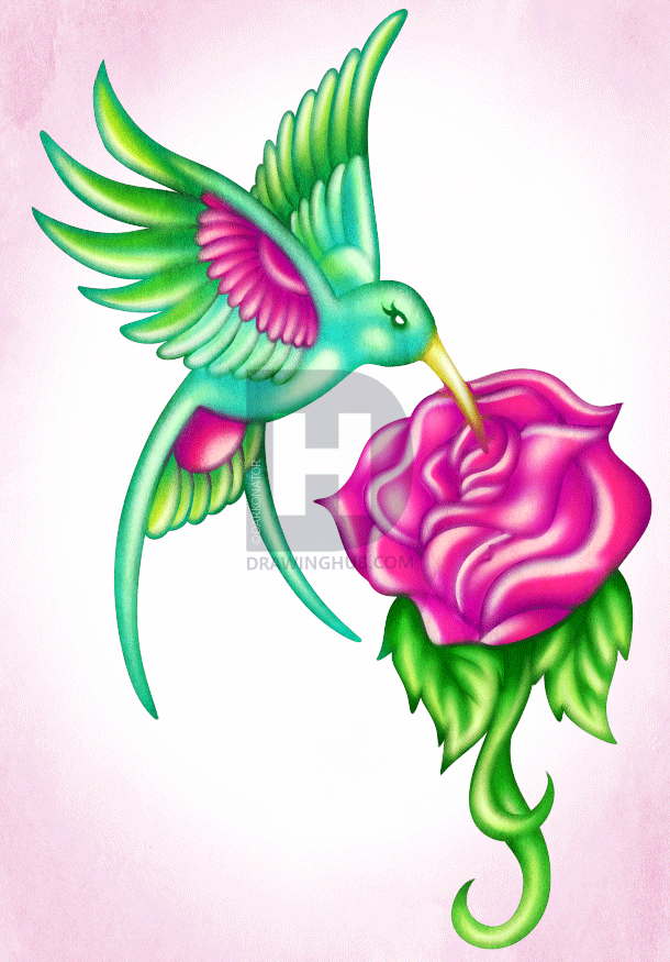610x875 How To Draw A Hummingbird Tattoo, Step - Drawings Of Hummingbirds And Flowers