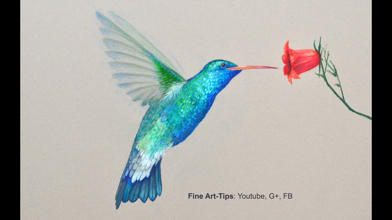 1280x720 How To Draw A Hummingbird - Drawings Of Hummingbirds And Flowers