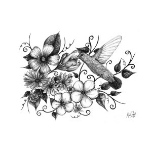 Drawings Of Hummingbirds And Flowers at PaintingValley.com | Explore ...