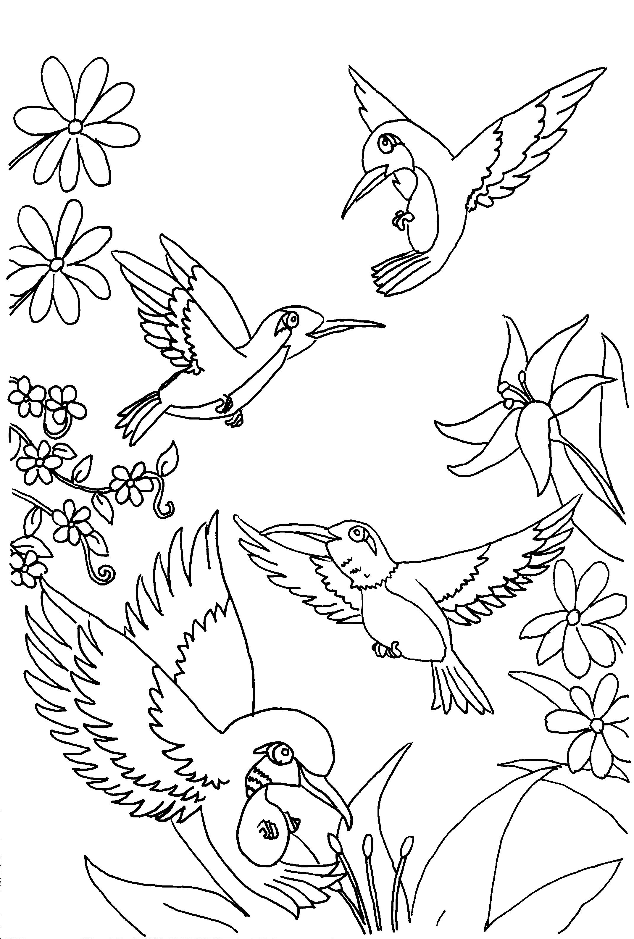 2143x3174 Hummingbird Coloring Pages - Drawings Of Hummingbirds And Flowers