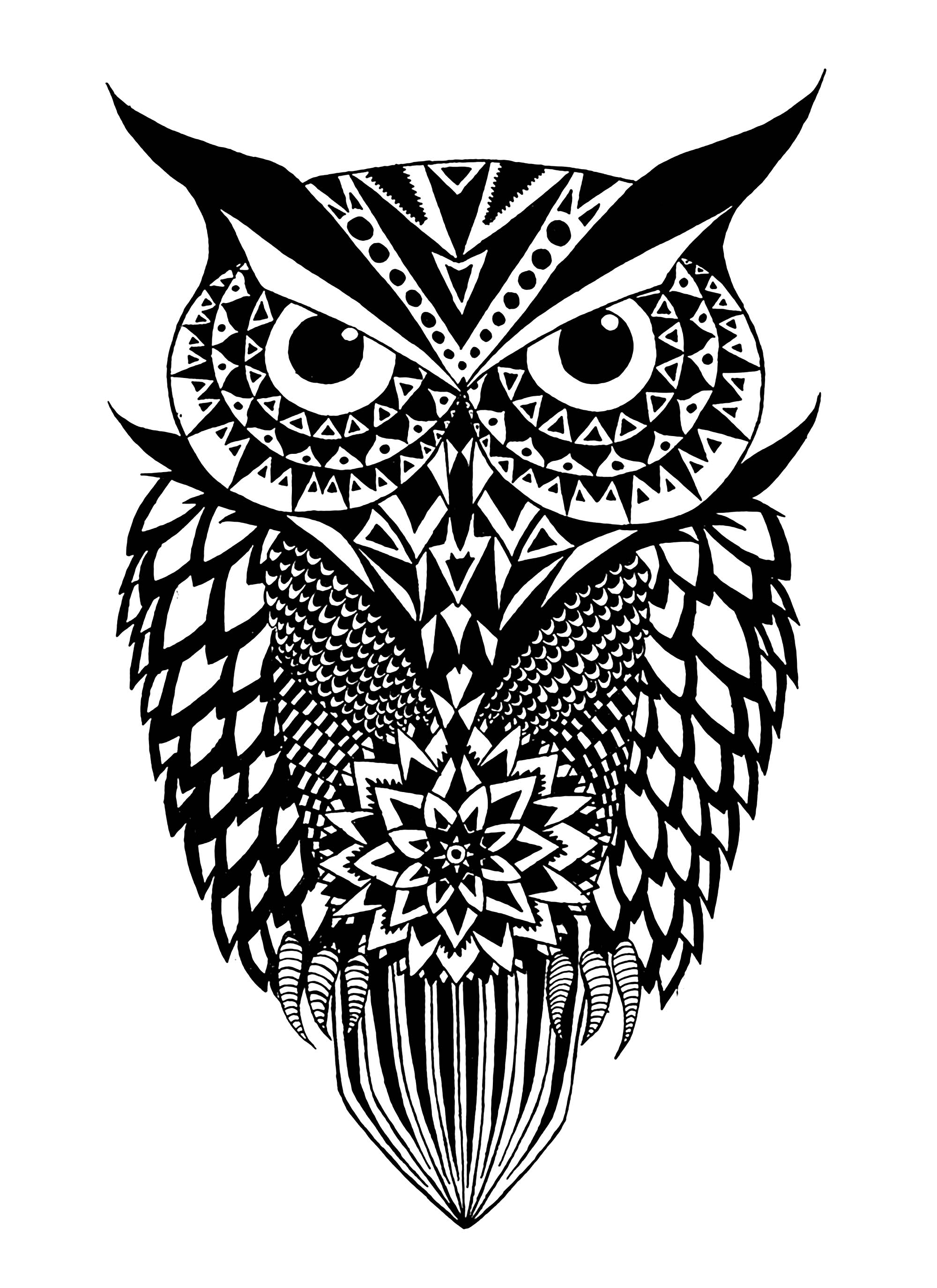 2000x2750 Black And White Owl - Drawings Of Owls In Black And White