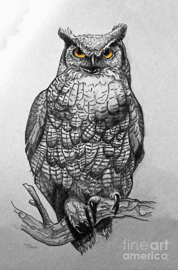 596x900 Great Horned Owl Black And White Painting - Drawings Of Owls In Black And White