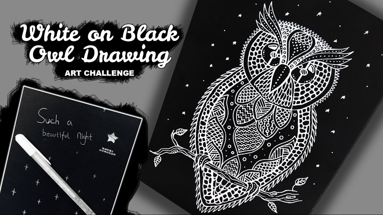 1280x720 How To Draw Owl White On Black Paper Drawing Zentangle - Drawings Of Owls In Black And White