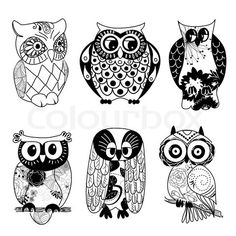 Drawings Of Owls In Black And White At Paintingvalley Com