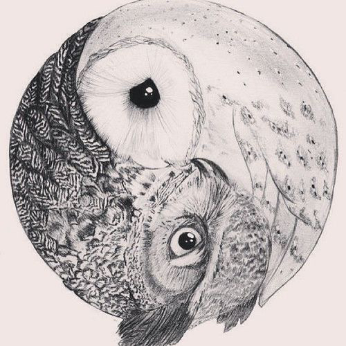 500x500 Image About Beautiful In Blaaaah! - Drawings Of Owls In Black And White