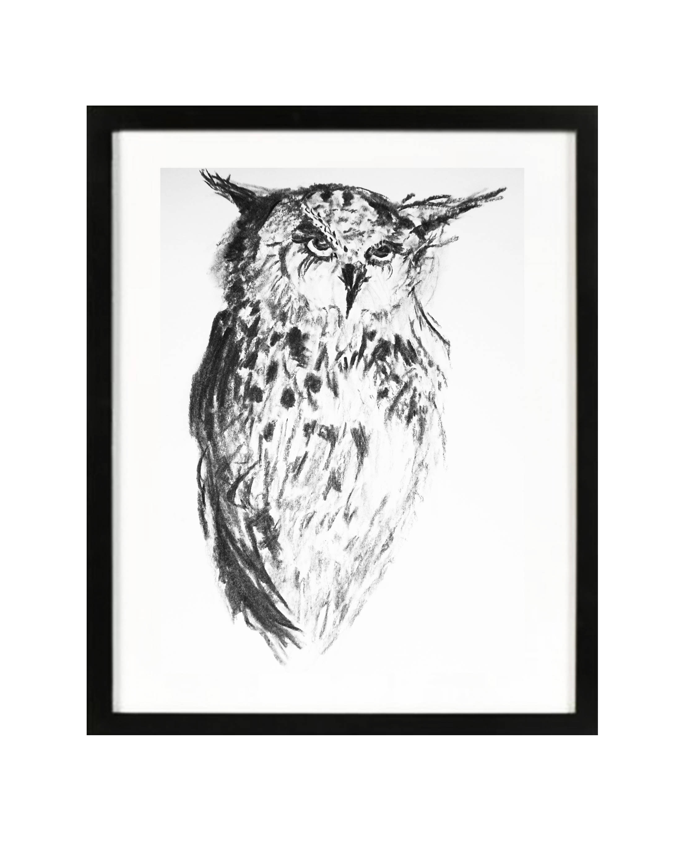 Drawings Of Owls In Black And White at Explore