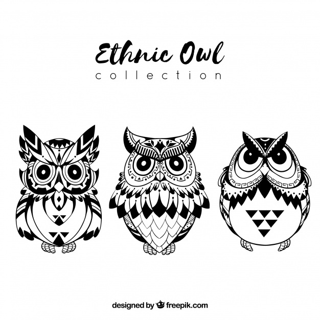 626x626 Owl Vectors, Photos And Free Download - Drawings Of Owls In Black And White