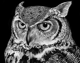 340x270 Owl Ink Drawing Etsy - Drawings Of Owls In Black And White
