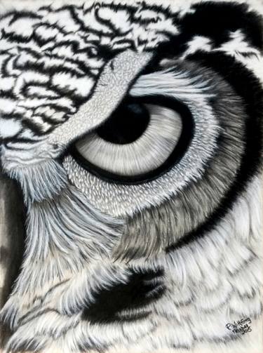 375x503 Owl Eye Left Eye Drawing - Drawings Of Owls In Black And White