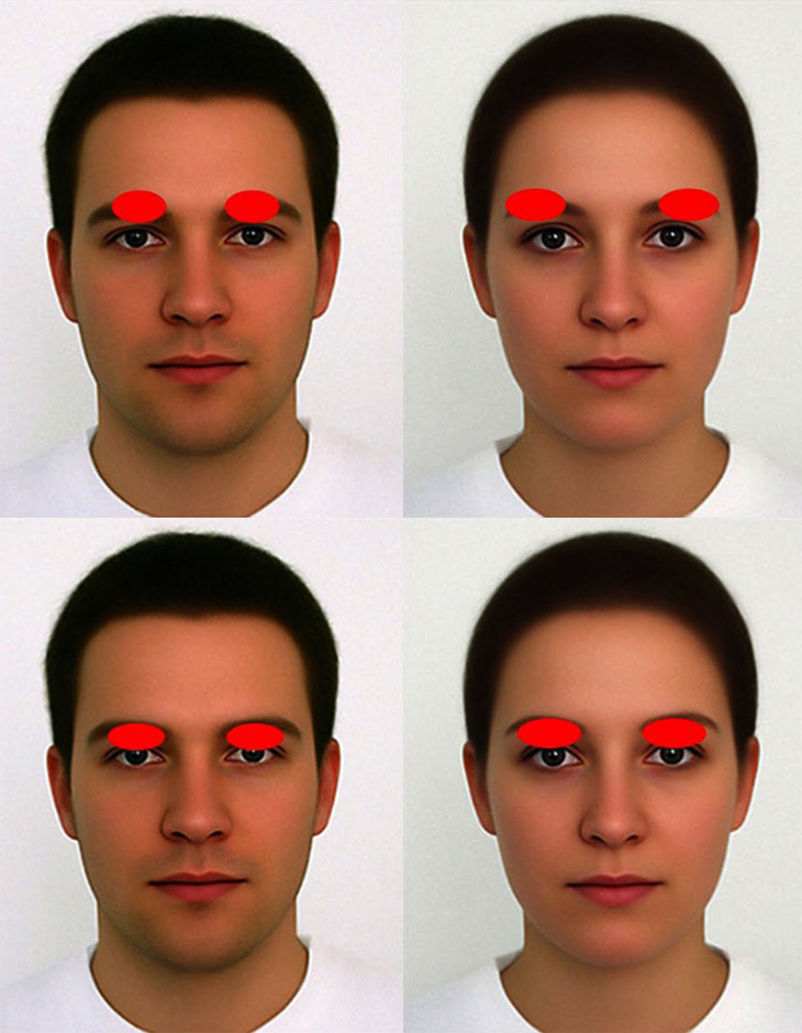 730x940 why every face you draw looks a little neandertal science news - Drawings Of Peoples Faces
