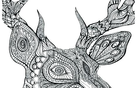 469x304 Colorblind Dot Pictures Colour Drawing Of Flowers Pencil Cool - Drawings To Color