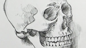 300x169 Drawing Lessons - Drawings To Draw