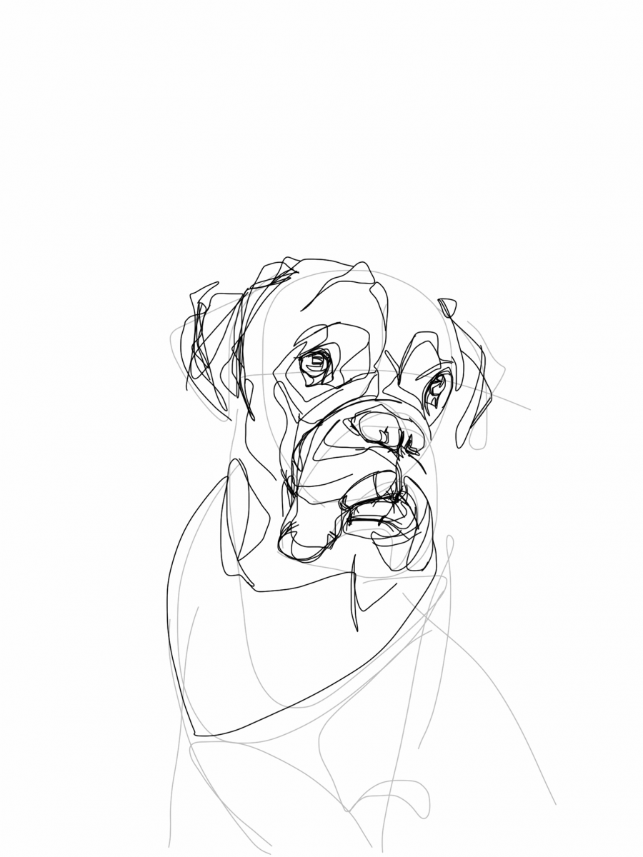 900x1200 Dog Portraits Digital Drawings - Drawings To Print