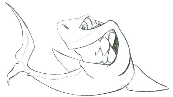 570x320 Hammerhead Shark Coloring Pages Printable - Drawings To Print