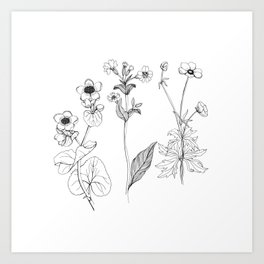 264x264 Flower Drawings Art Prints - Drawings To Print