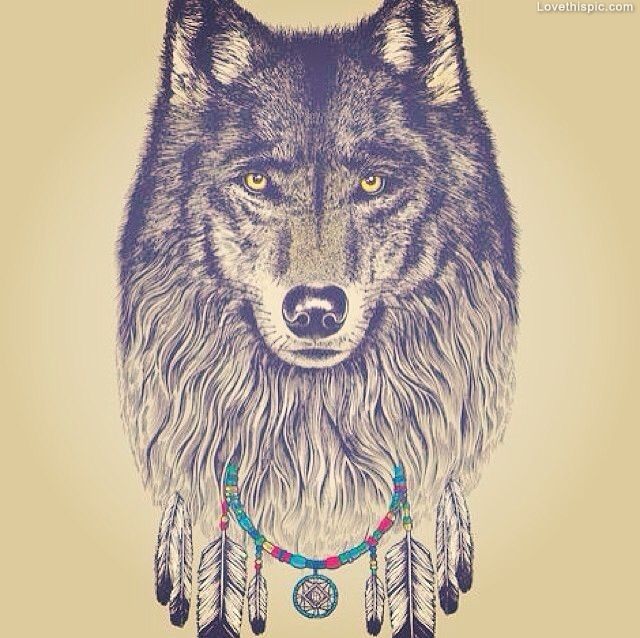 640x638 Retro Wolf Dream Catcher Pictures, Photos, And Images For Facebook - Dream Catcher Tumblr Drawing