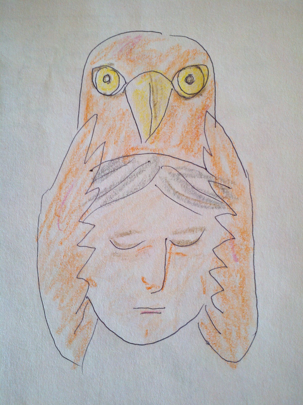 968x1296 Seeing With Hawk Other Dream Drawings - Dream Drawings