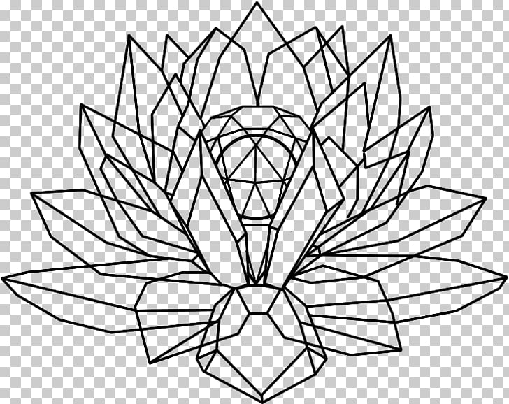 728x578 Nelumbo Nucifera Crystal Drawing Line Art, Dreamcatcher Flower Png - Dreamcatcher Line Drawing