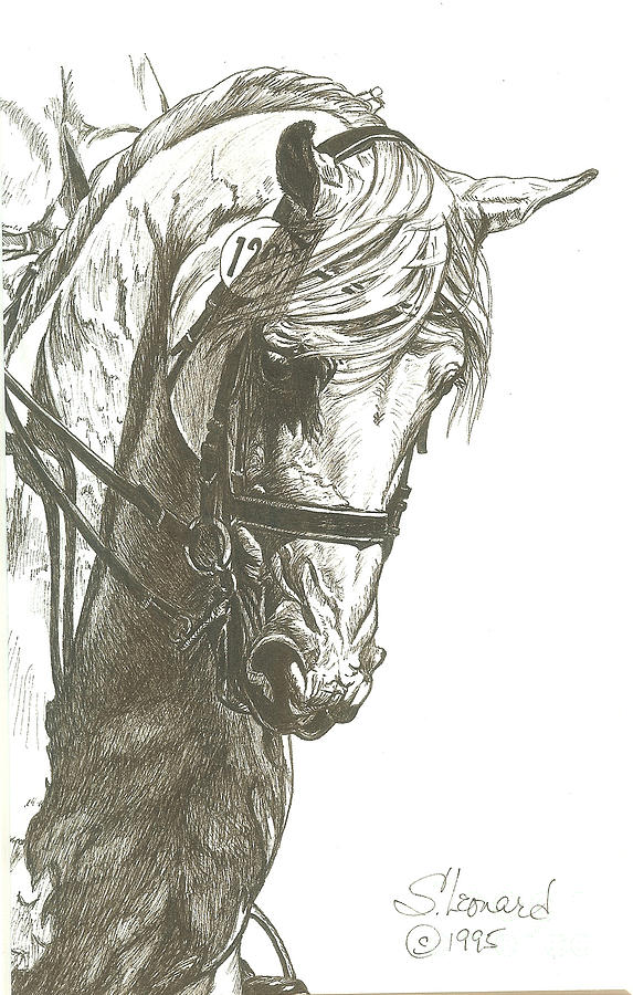 573x900 dressage horse drawing - Dressage Drawing
