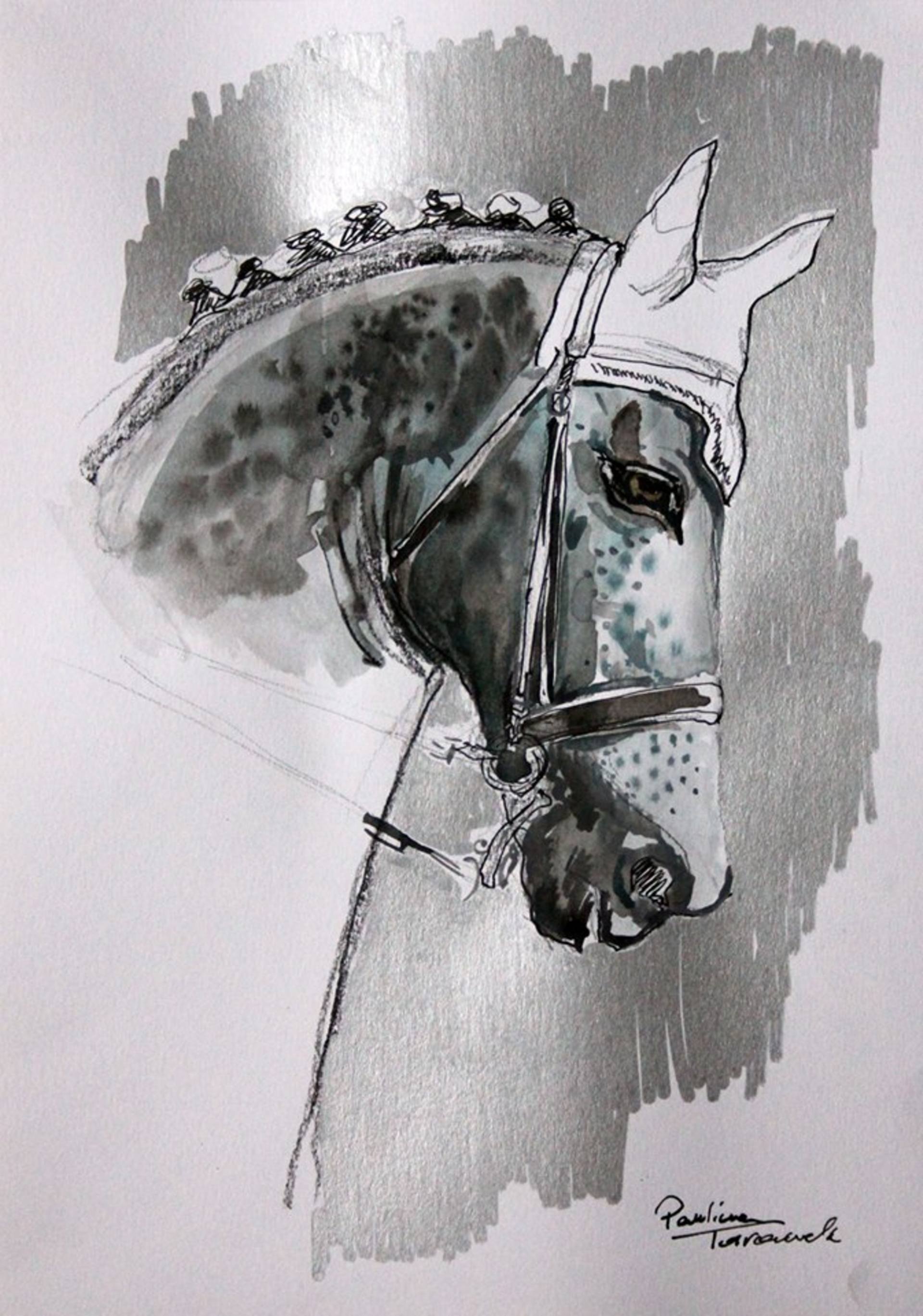 1920x2738 dressage i drawing - Dressage Drawing