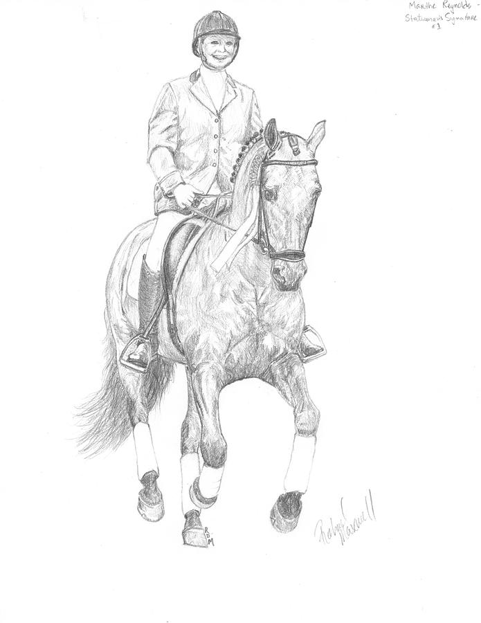 695x900 dressage morgan stallion drawing - Dressage Drawing