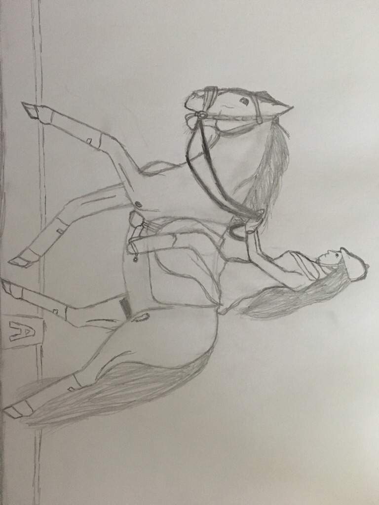 768x1024 dressage drawing equestrian amino - Dressage Drawing