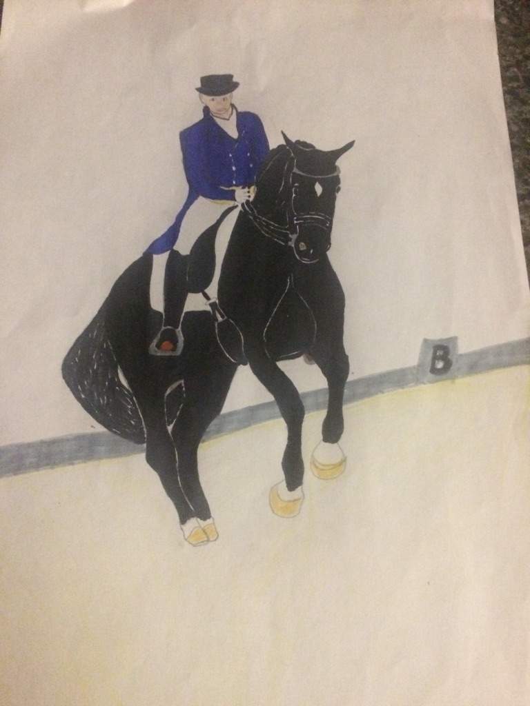 768x1024 dressage drawing star stable online amino - Dressage Drawing