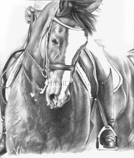 272x320 dressage drawing new progress made - Dressage Drawing