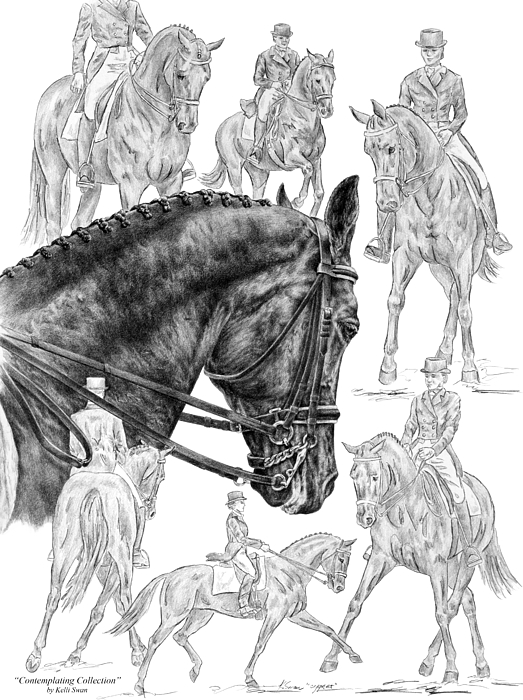 523x700 contemplating collection - Dressage Drawing