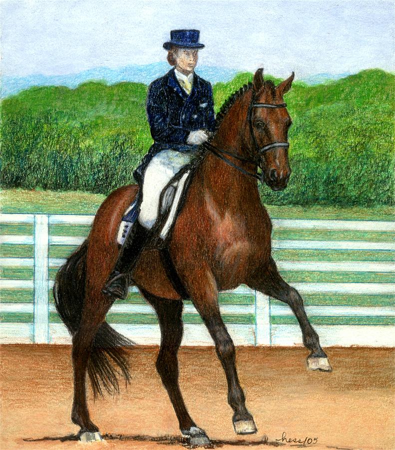791x900 hanovarian dressage horse portrait drawing - Dressage Drawing