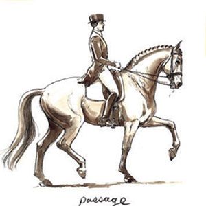 300x300 passage drawing - Dressage Drawing