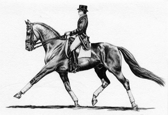 582x398 the beauty of dressage for thursday art day - Dressage Drawing