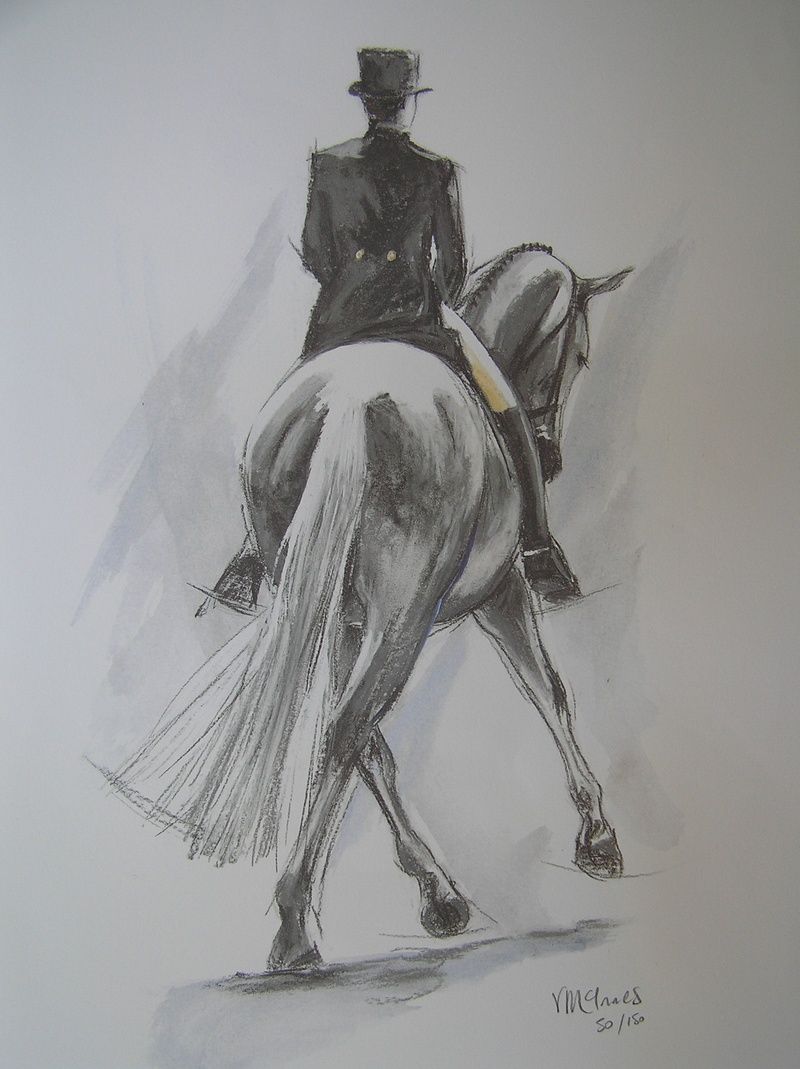 800x1069 drawing of front view of dressage horse - Dressage Drawing