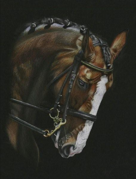 456x600 Dressage Horse On Black Wc Paper - Dressage Horse Drawing