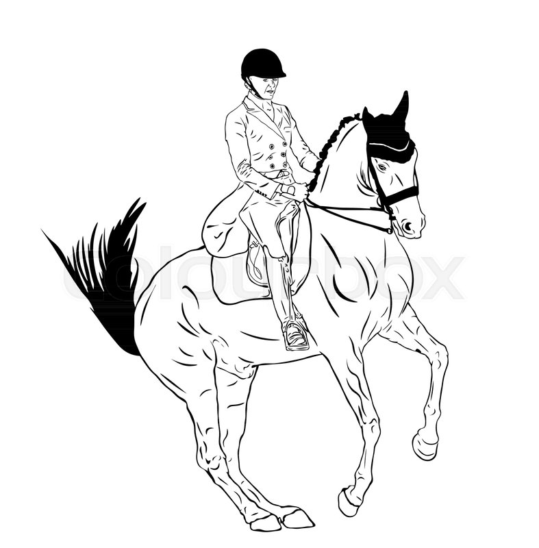 787x800 Easily Drawn Illustration Of A Stock Vector Colourbox - Dressage Horse Drawing