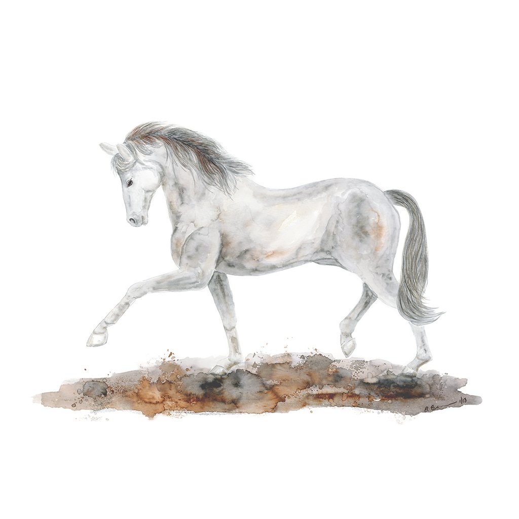 1024x1024 Arabian Horse Portrait Fine Art Watercolor Print Tiny Toes Design - Dressage Horse Drawing