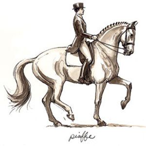 300x300 Piaffe Drawing - Dressage Horse Drawing