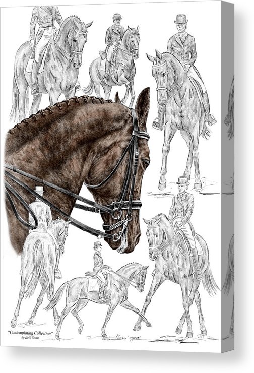 504x740 Contemplating Collection - Dressage Horse Drawing